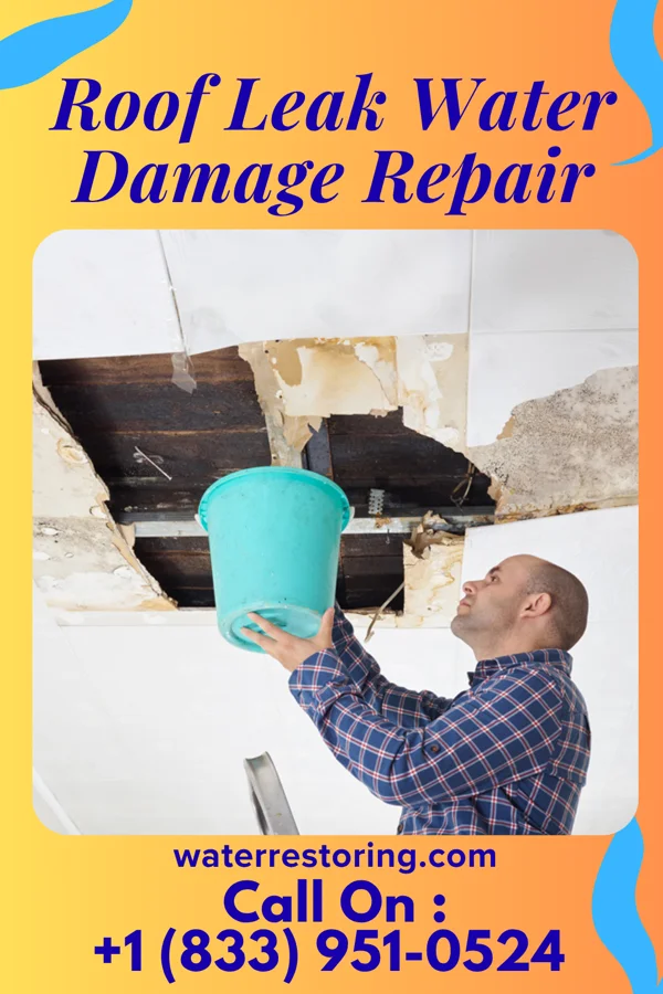 Roof Leak Water Damage Repair in St. Matthews, SC